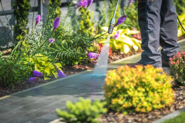 Bellefontaine Neighbors, MO Pressure Washing Services Company